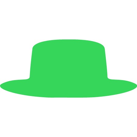 5 - green hat